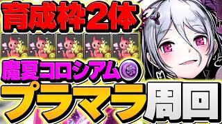 【闇属性】育成枠2のモルガンPTで魔夏の+限界突破コロシアムを4分周回！これが一番強い！【パズドラ】
