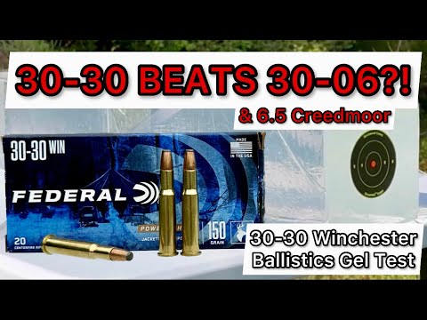 NEED ANY DEEPER?! 30-30 Federal PowerShok 150gr Ammo Test