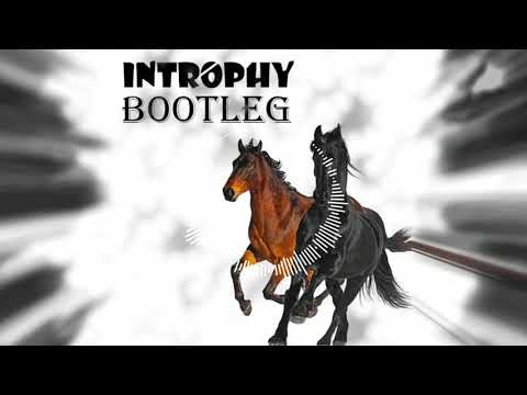 Lil Nas X feat. Billy Ray Cyrus - Old Town Road (Introphy Bootleg)