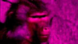 Menschlichkeit - Human Touch - Elvis Costello Cover