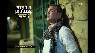 שלוימי קצנלבוגן – נחפשה (הקליפ הרשמי) - התמונה מוצגת ישירות מתוך אתר האינטרנט יוטיוב. זכויות היוצרים בתמונה שייכות ליוצרה. קישור קרדיט למקור התוכן נמצא בתוך דף הסרטון