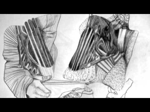 GATO FLORO - Mariano Barrionuevo & Patricio Gómez Saavedra