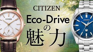 【CITIZEN】Eco-Driveの魅力☀️