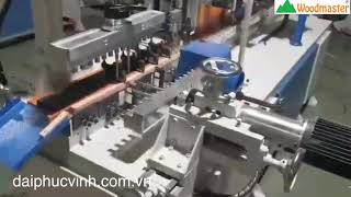 Woodmaster. MÁY CẮT KHOAN BỌ GỖ BỘ TỦ TỰ ĐỘNG NẠP PHÔI giá tốt nhất TPHCM