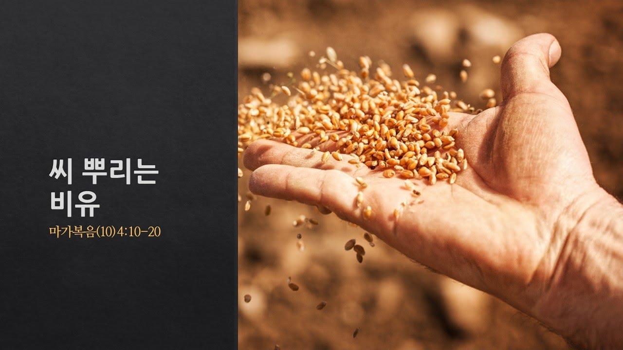 설교기본이미지