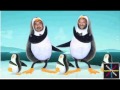 Мультик про пингвинов 