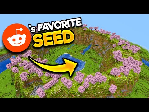 Are The 10 Best 1.20 Seeds Actually Any Good?