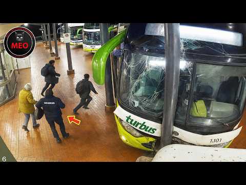 Incredible Moments Caught on Camera (P315)