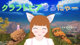 配信テスト