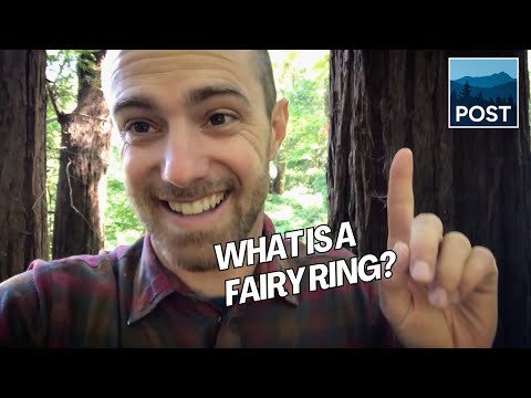 What is a Fairy Ring? | Minute with Matt