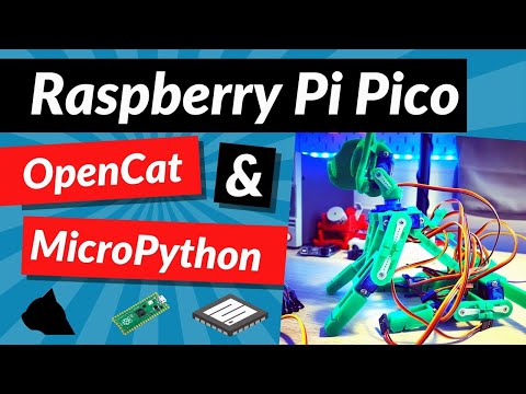 YouTube Thumbnail for Raspberry Pi Pico, OpenCat and MicroPython