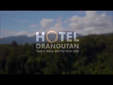 Hotel Orangutan in Bukit Lawang, Indonesia