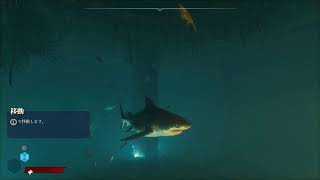 【MAN EATER 】サメ育成記(パクパク)最終回