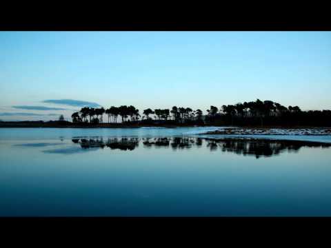 Dave Owen - Short Sighted