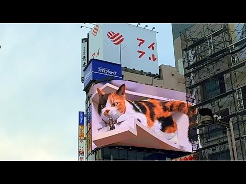 Shinjuku khabuki cho | Giant cat of Shinjuku |3D digital billboard image of giant cat draw attention