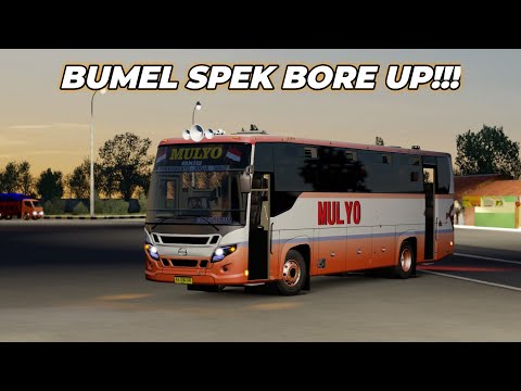 Bumel spek Bore up tempel bus sinar jaya ❗ets 2