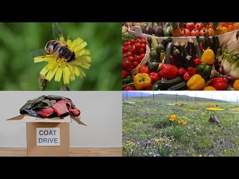 Asthma Preventing Microbes, Pollinator Plant Preference, and More: 60 Second Science Podcasts