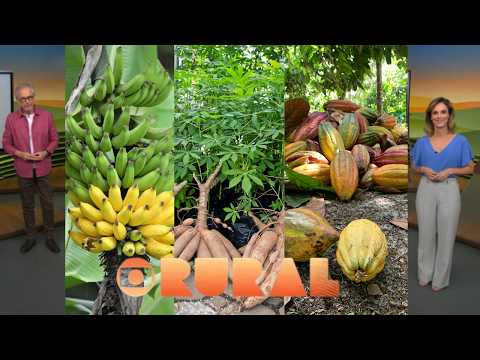 Da Luta à Colheita |  Agricultores do Sul da Bahia se Unem  