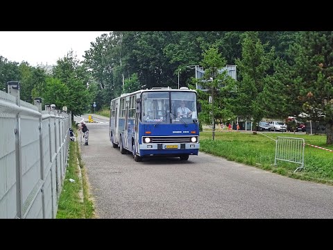Ikarus 280.40A (Gyors) #STA 64, Nieznany Właściciel - Świerklaniec (Przejazd, S1) 🎶ZF
