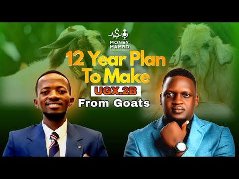 Money Mambo: 12 Years Plan To Make 2 Billion Uganda shillings From #goatsfarming #ypa