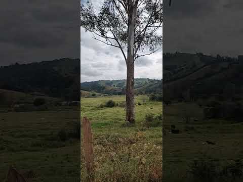 dia 14: Serrinha (Dom Viçoso) x Carmo de Minas x Soledade de Minas