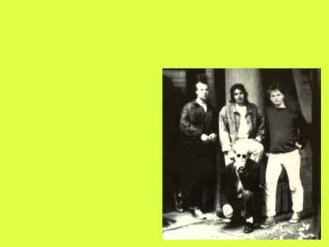 Junk Food Society - Ingen vil ha + Det er ikke fugler alt som flyr