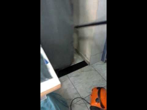 Com medo do aspirador de pó