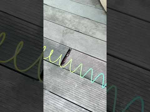 [ACC] Dad, help me! Strange waves from the walkie-talkie 📞😨 #shorts