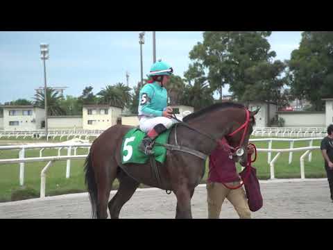 221119 c03  CARIBEÑO