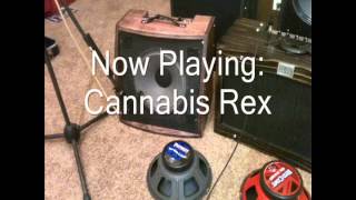 Cannabis Rex, Wizard, Private Jack, Red White & Blues Guitar Speaker Comparison (clean)