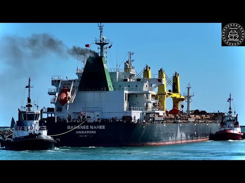 GIANTS OF THE SEAS Shipspotting 4K LOS ANGELES/LONG BEACH Ports April 2023