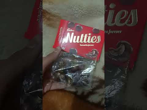 Cadbury Nutties Review #quarantine #cadbury #yummyfood #wow #chocolate #candy