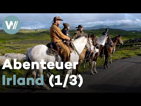 Wanderreiten durch Irland - Die Reise beginnt! | Abenteuer Irland (1/3)