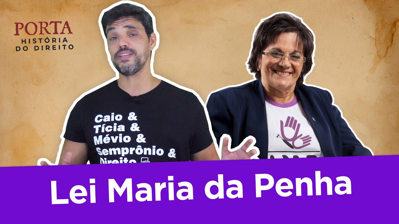 LEI MARIA DA PENHA - COMO SURGIU? | PORTA DA HISTÓRIA DO DIREITO