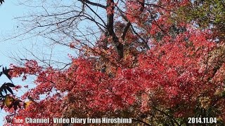 preview picture of video '広島の風景 2014 秋 Part 16 尾関山公園 広島県三次市 Scenery of Hiroshima 2014 Autumn,Mt.Ozeki Park,Miyoshi City'