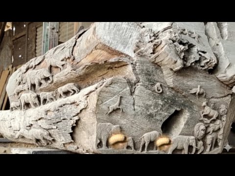 This Tree Has Been Left Untouched for Decades!! Here's Why Sawmills Avoid It