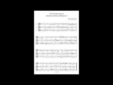 Harmonice Musices Odhecaton A No 86 Johannes Sthockem "Ha trayte amours"