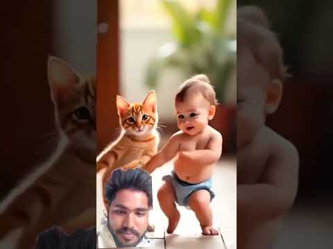 #cat #cutecat #dance