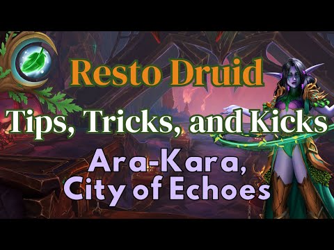 Resto Druid Tips, Tricks, and Kicks Ara-Kara Commentary and Guide | TWW Season 3