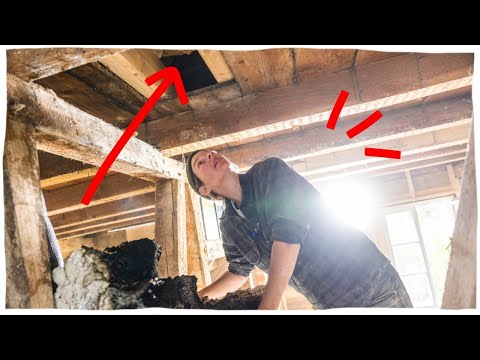 I had to call an architect...and I need to make some decisions! (Rescuing a 120 year old house)