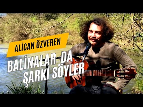 Alican Özveren ~ Balinalar da Şarkı Söyler ( Akustik )