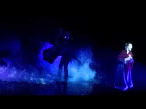 Rote Stiefel - Tanz der Vampire Berlin 2013