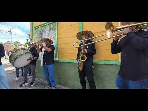 El machete - Banda papayera Pupo FALAN TOLIMA 2025.