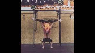 faze tari faza exercitii