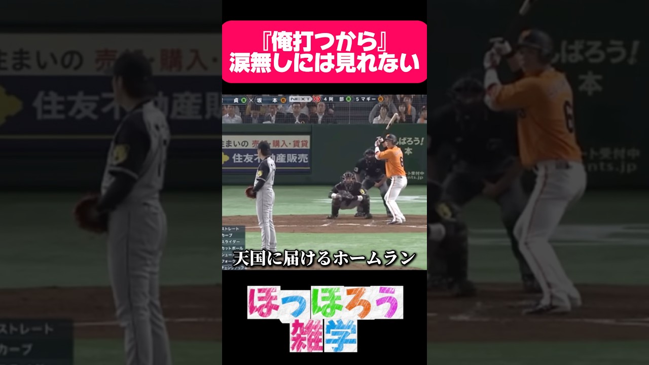 涙無しには、見れないホームラン#感動 #雑学 #野球 #坂本勇人