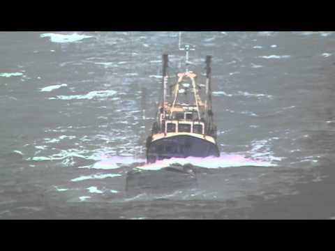 Brixham Fishing Vessel P8 Morning Star Crossing Torbay