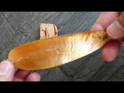 Gold Lip Perlmutt Tropfen / Art.Nr.GLT14