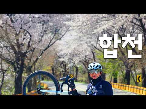 합천 벚꽃 라이딩