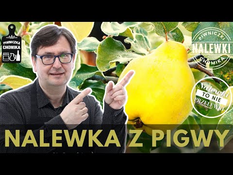 Quince tincture (quince liqueur). A cult homemade liqueur. A simple recipe for an excellent tinct...