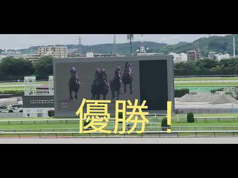【中京・新馬戦】ソフトバンクホークス、柳田悠岐選手がオーナーのゴーイントゥノヴァ(牝2)が優勝❗